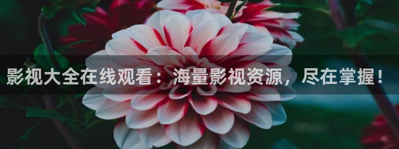 秋霞电影yy2933