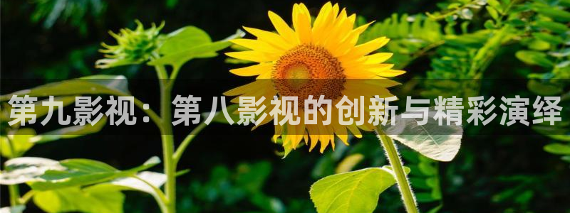 秋霞,影视