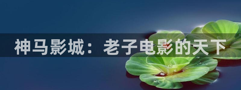 秋霞三级伦理片网站