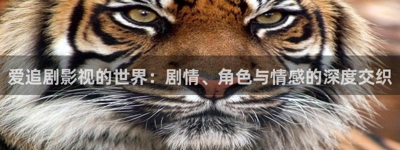 秋霞电影2021